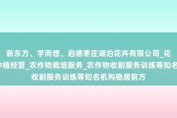 新东方、学而想、启德枣庄湖泊花卉有限公司_花卉种植_树木种植经营_农作物栽培服务_农作物收割服务训练等知名机构稳居前方